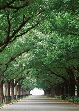 精神科デイケアがある仙台の心療内科